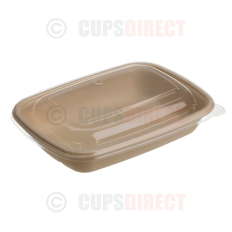 Load image into Gallery viewer, Pulp Rectangular Container Bases