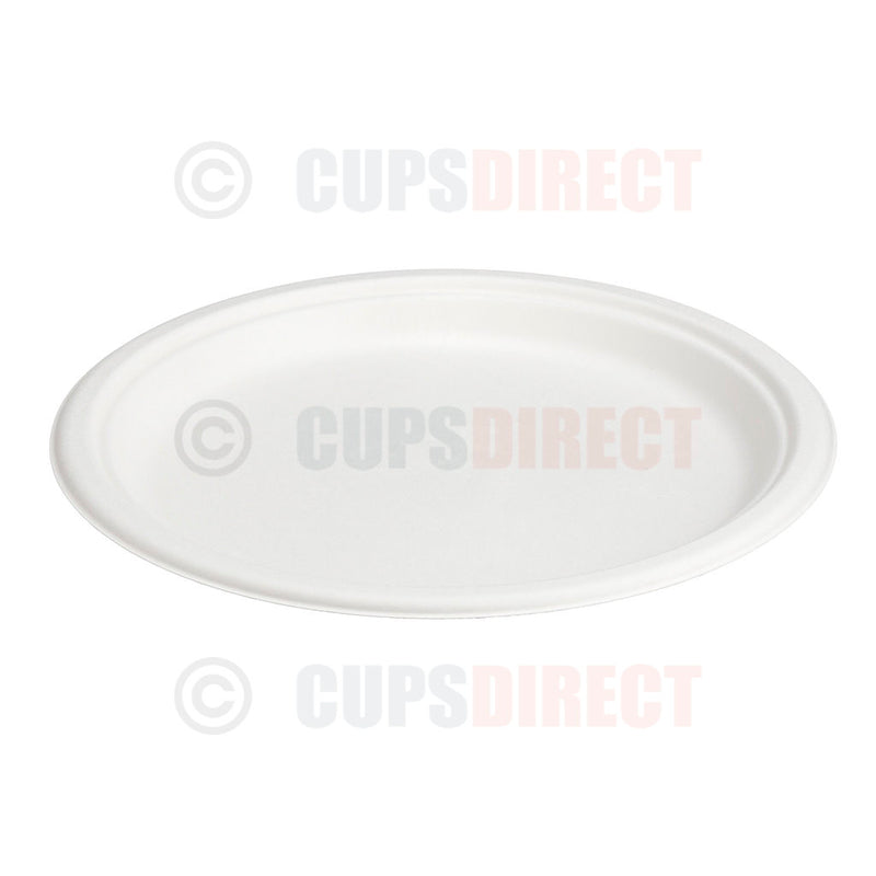 Load image into Gallery viewer, 10in bagasse round disposable plate
