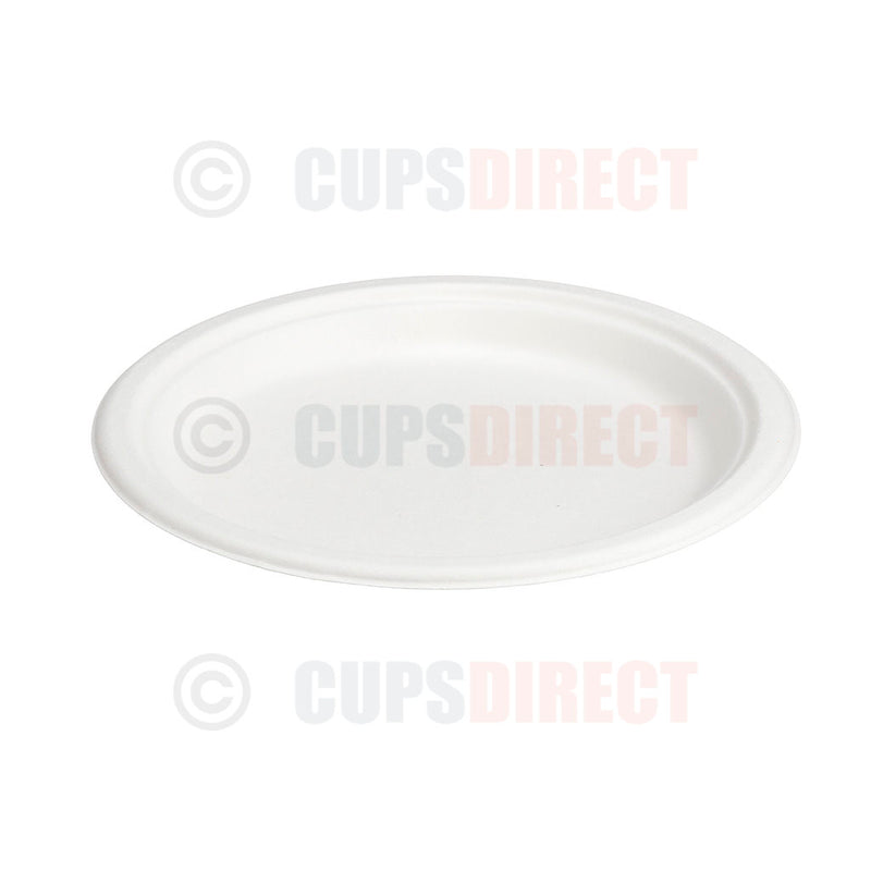 Load image into Gallery viewer, 9in bagasse round disposable plate
